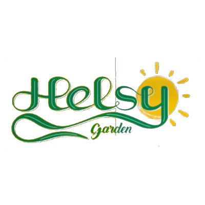 هلسی